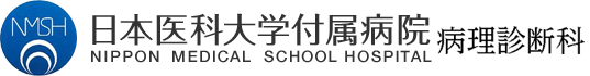 fo_logo